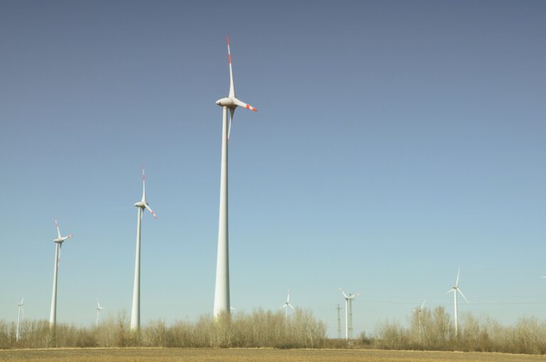 wind-mill-farm-power-turbine-renewable-energy-2025-03-05-16-53-21-utc-1.jpg