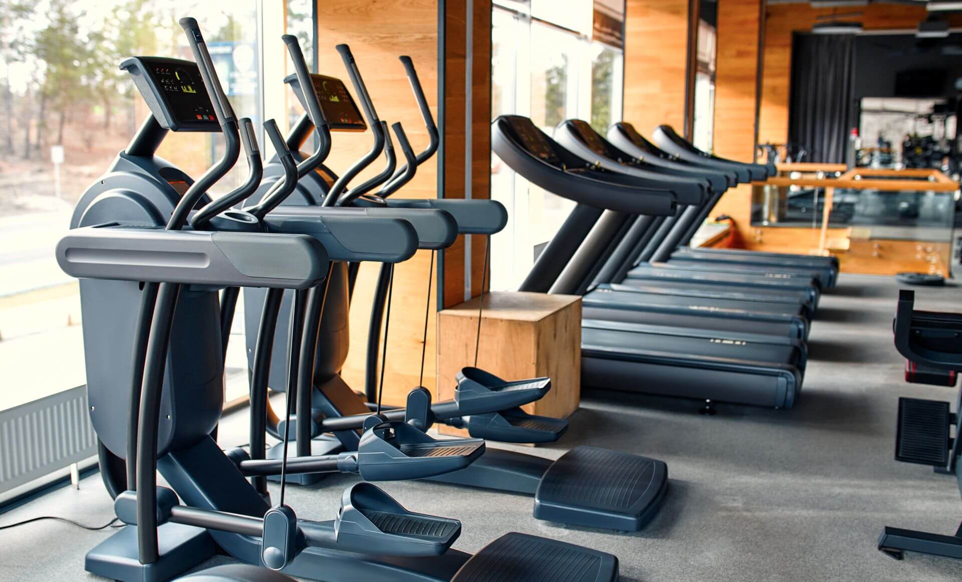 sports-and-gym-activities-2023-11-27-05-34-46-utc.jpg